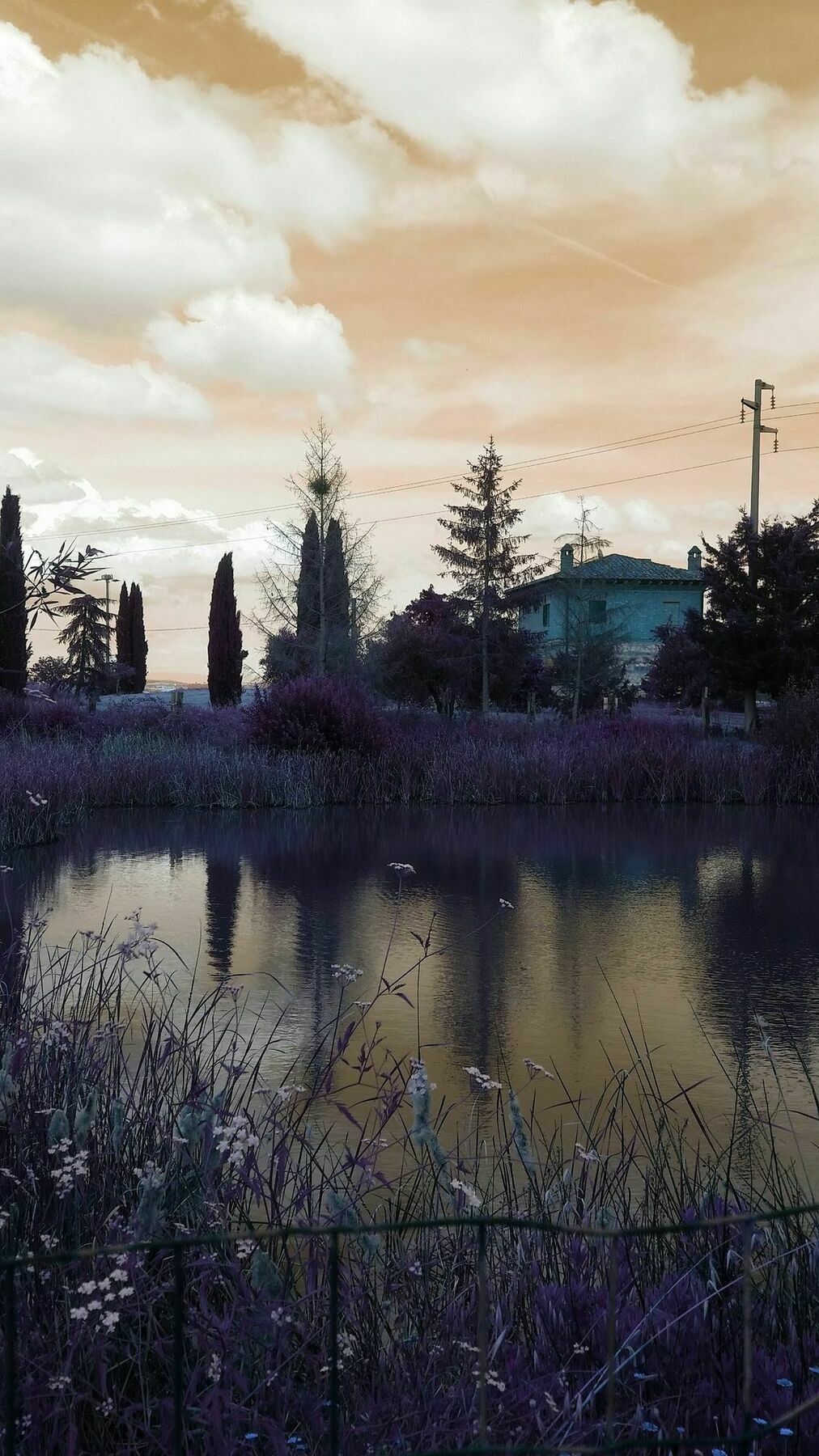 La Fenice Montepulciano Stazione Exterior foto